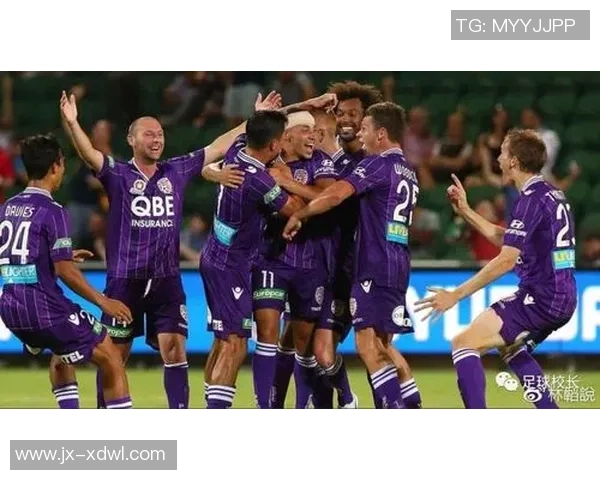 阿德莱德对阵西悉流浪2019赛季精彩推荐与分析攻略